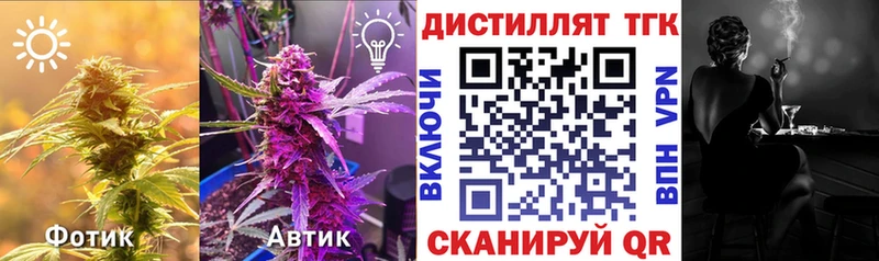 KRAKEN сайт  цена наркотик  Аткарск  ТГК гашишное масло 