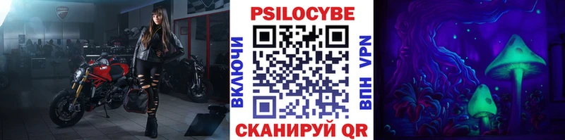 Псилоцибиновые грибы мицелий где найти наркотики Аткарск
